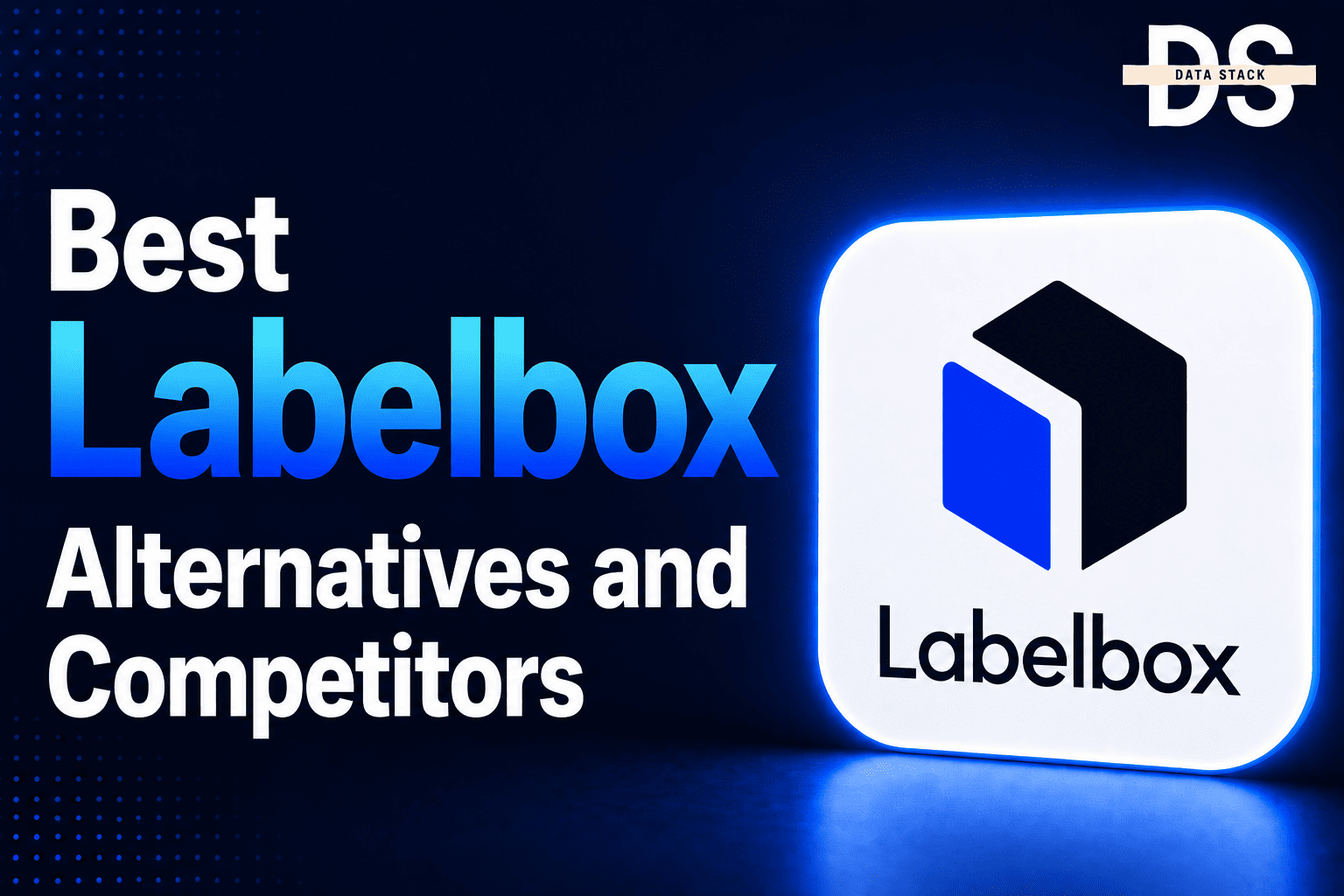 Labelbox Alternatives - Featured Image | DSH