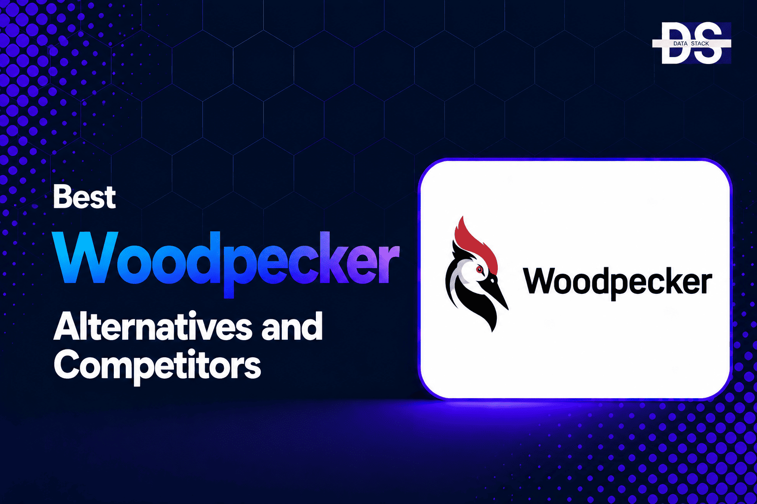 Woodpecker Alternatives - Featured Image | DSH