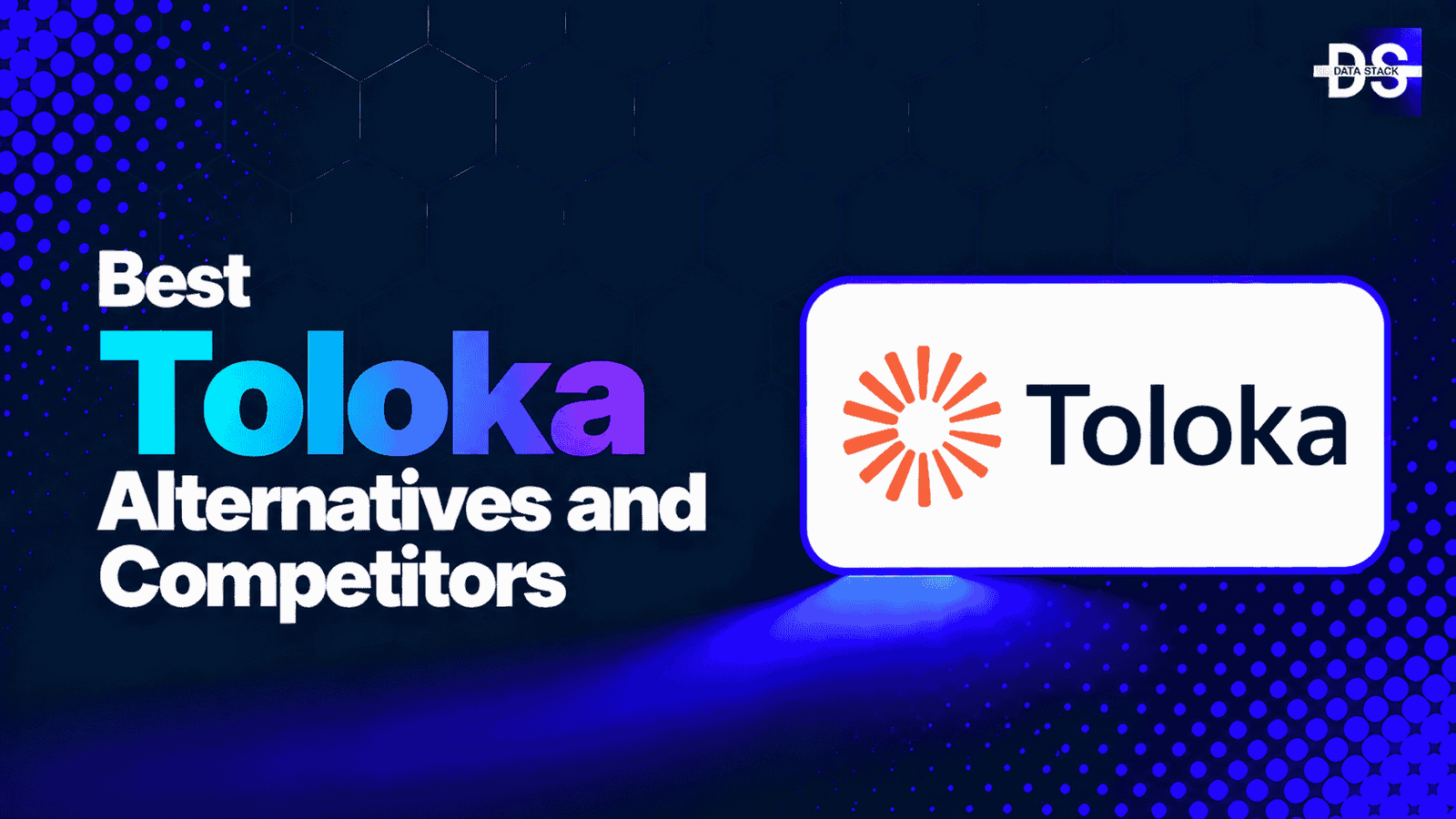 Toloka Alternatives - Featured Image | DSH